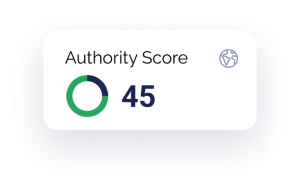 An Authority Score Of 45 On A Blue Background For Home.